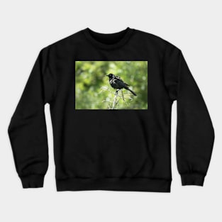 Every Day I'm Grackling Crewneck Sweatshirt